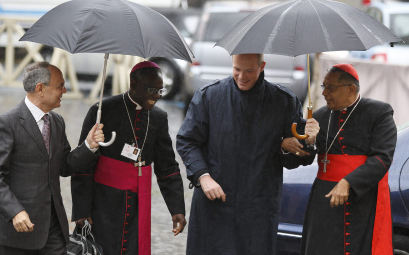 Cardinal Sarah, Catholic Conservative