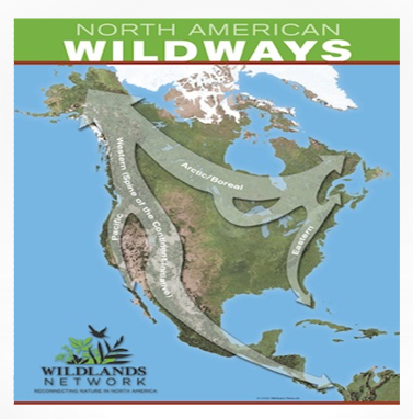 North_America_Wildways.png