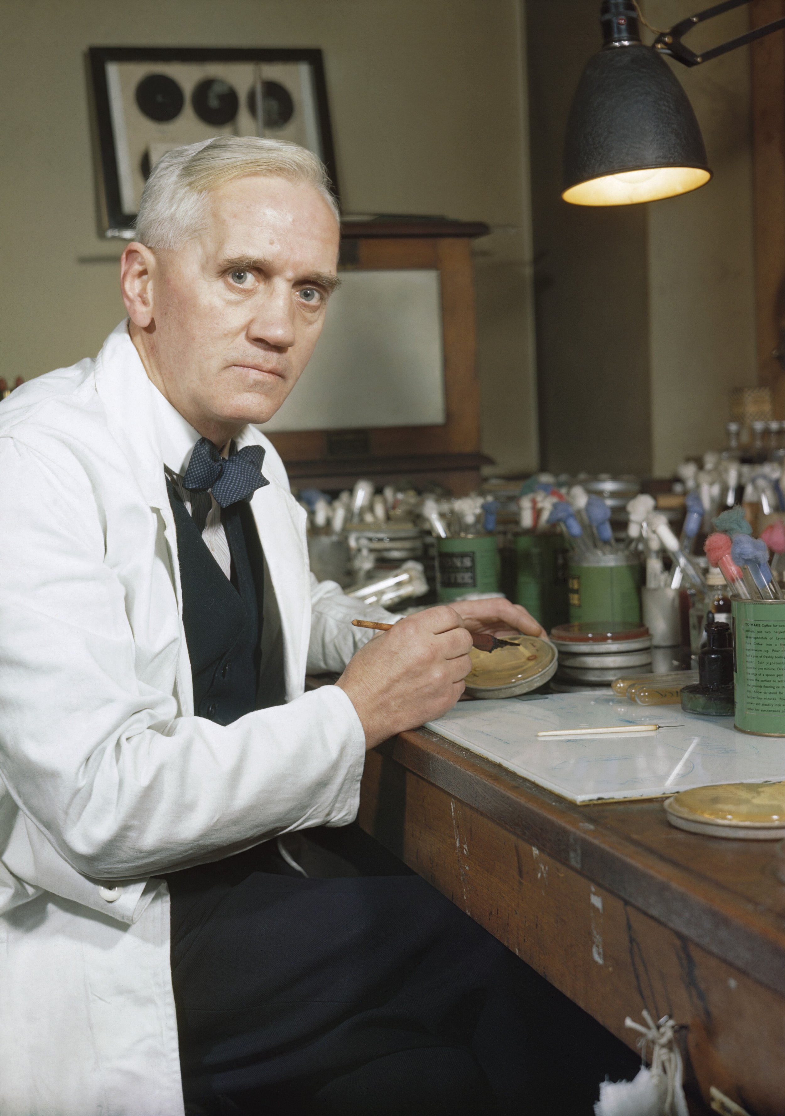Sir Alexander Fleming, looking rather intense for the photographerBy Official photographer - http://media.iwm.org.uk/iwm/mediaLib//32/media-32192/large.jpgThis is photograph TR 1468 from the collections of the Imperial War Museums., Public Domain, h…
