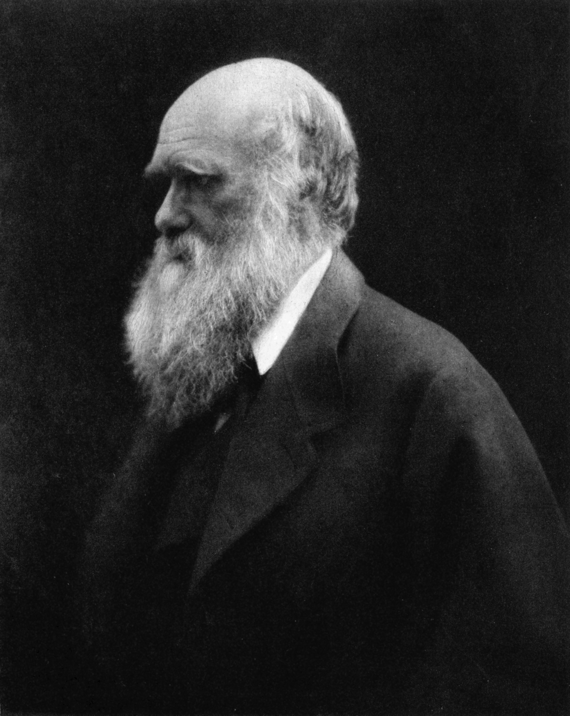 Charles DarwinBy Julia Margaret Cameron - Reprinted in Charles Darwin: His Life Told in an Autobiographical Chapter, and in a Selected Series of His Published Letters, edited by Francis Darwin. London: John Murray, Albemarle Street. 1892.Scanned by …
