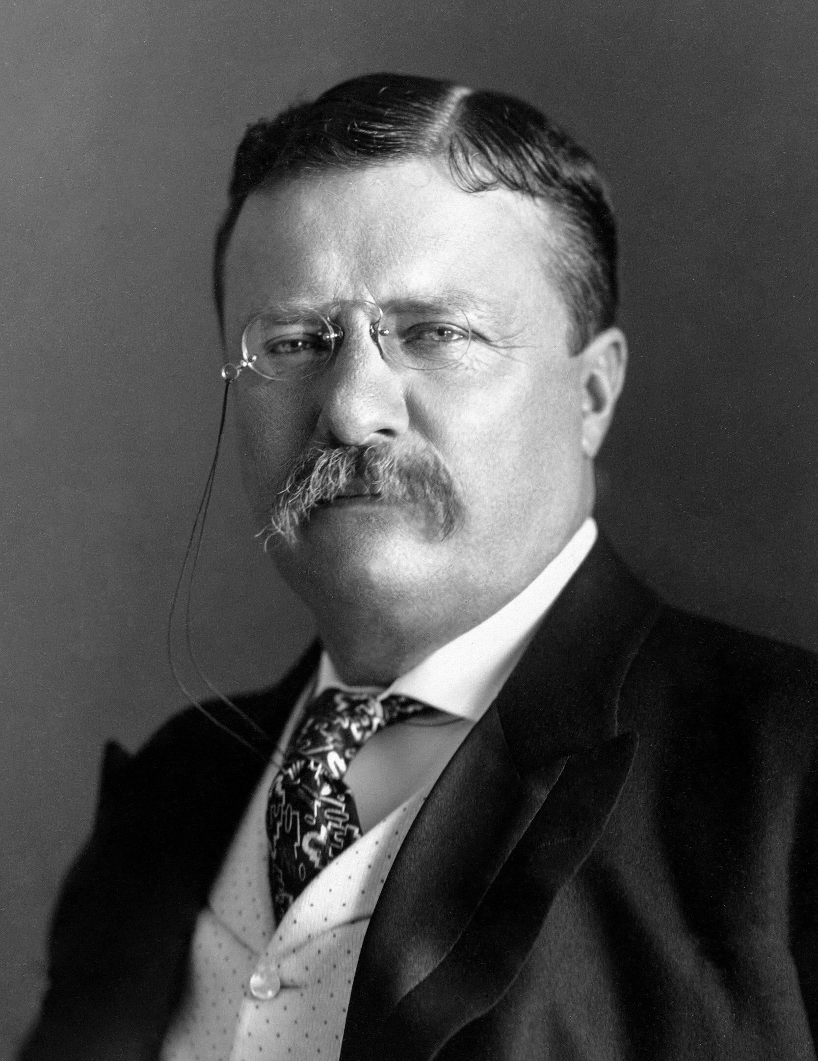 Theodore RooseveltBy Pach Bros. - This image is available from the United States Library of Congress&amp;#039;s Prints and Photographs divisionunder the digital ID ppmsca.35645.This tag does not indicate the copyright status of the attached work. A …