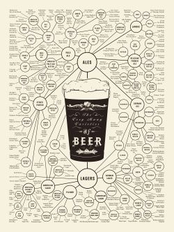 Another Beer Taxonomy